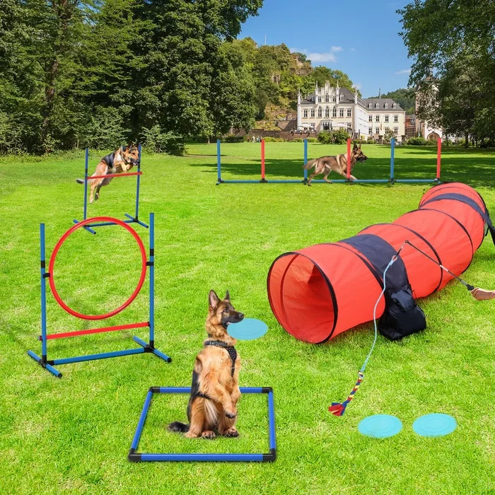 Yitahome Dog Agility Training Equipments: Includes Flirt Pole Accessorie, 3 Flying Discs, 1 Agility Tunnel, 2 Jumps, 6 Weave Pol